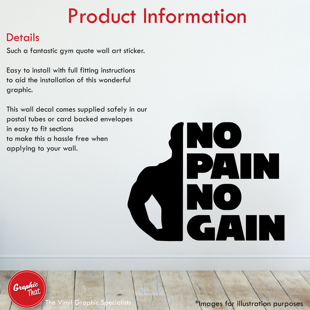 
            
                Load image into Gallery viewer, Gym Wall Art Sticker Quote (No Pain No Gain)
            
        